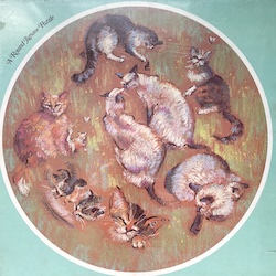 animals round cats