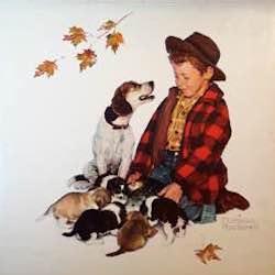 rockwell art animals dogs